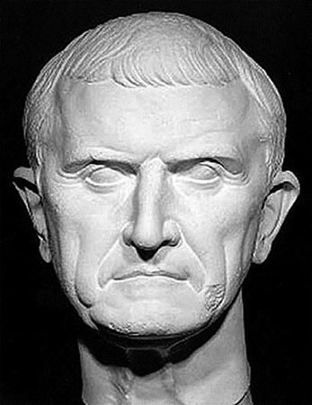 Сборник - Папоротники