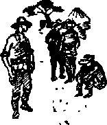 Аркадий Фидлер - Тайна Рио де Оро