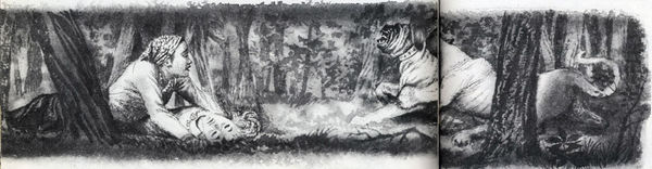 Коллектив авторов - Дикие кошки