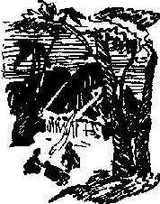 Аркадий Фидлер - Тайна Рио де Оро