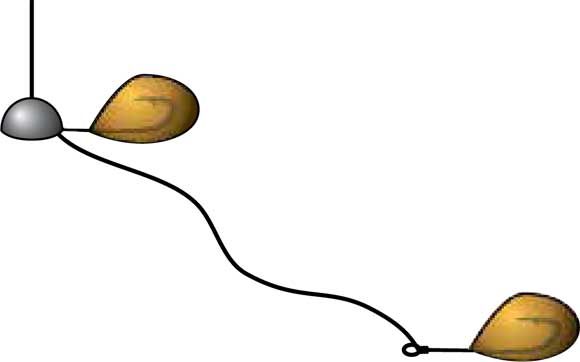 Константин Сторожев - Ловля карпа, леща, толстолобика, белого амура. Секреты и...