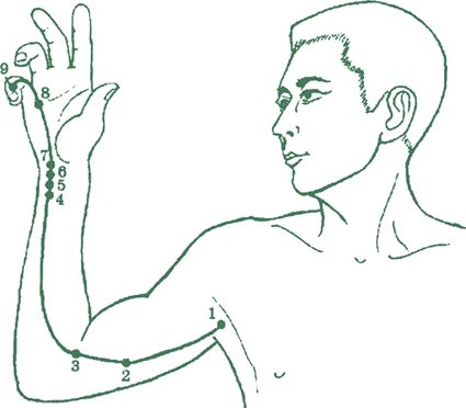 Дина Крупская - Лестница в небо, или Китайская медицина по-русски