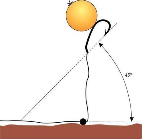 Константин Сторожев - Ловля карпа, леща, толстолобика, белого амура. Секреты и...