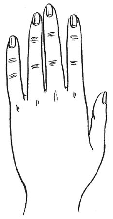 Антонина Соколова - Уроки хиромантии