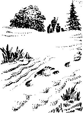 Чарльз Робертс - Каменный век (с иллюстрациями)