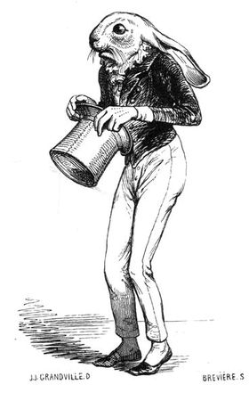 Коллектив авторов - Сцены частной и общественной жизни животных