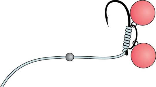 Константин Сторожев - Ловля карпа, леща, толстолобика, белого амура. Секреты и...