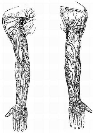 Иван Саркизов-Серазини - Спортивный массаж