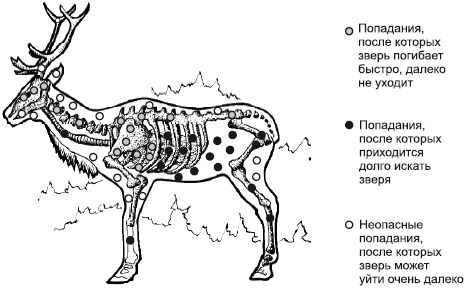 Коллектив Авторов - Способы автономного выживания человека в природе