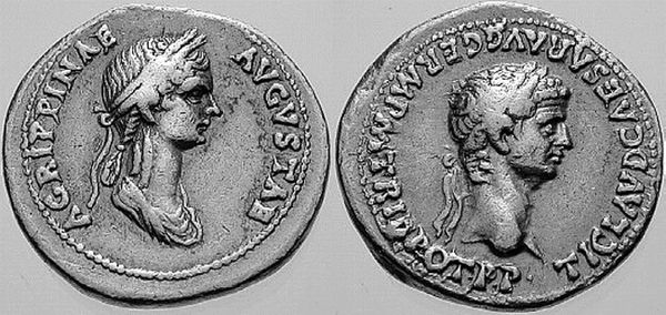 Сборник - Папоротники