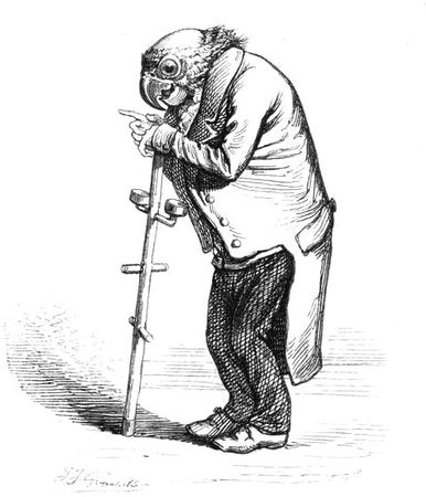 Коллектив авторов - Сцены частной и общественной жизни животных