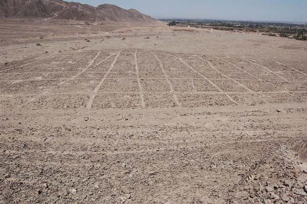 Андрей Скляров - Наска: гигантские рисунки на полях