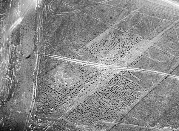 Андрей Скляров - Наска: гигантские рисунки на полях