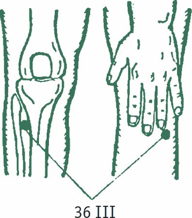 Дина Крупская - Лестница в небо, или Китайская медицина по-русски