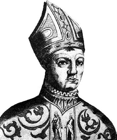 Сборник - Папоротники