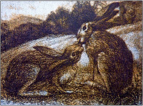 Франсис Жамм - История зайца