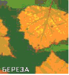 Сергей Бродяга - Инструкция: как изготовить лук своими руками