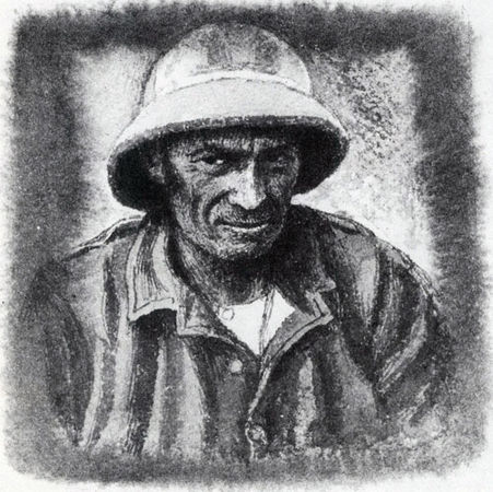 Коллектив авторов - Дикие кошки