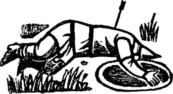 Ольга Гурьян - Край Половецкого поля