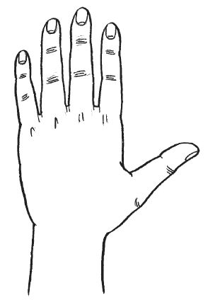 Антонина Соколова - Уроки хиромантии