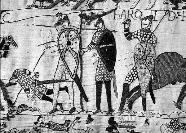 Сборник - Папоротники