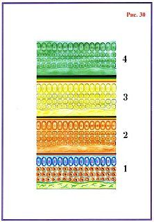 Николай Левашов - Сущность и Разум. Том 1