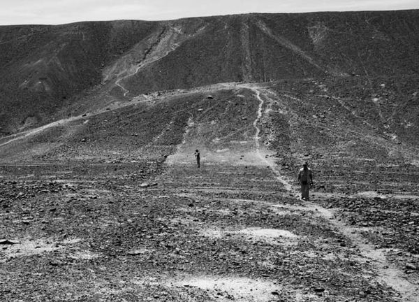 Андрей Скляров - Наска: гигантские рисунки на полях