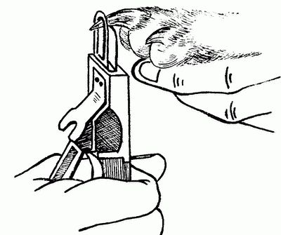 Марина Куропаткина - Французский бульдог