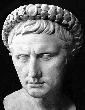 Сборник - Папоротники