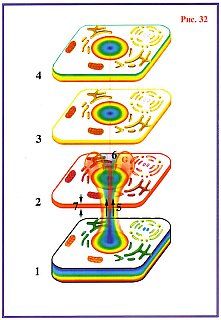 Николай Левашов - Сущность и Разум. Том 1