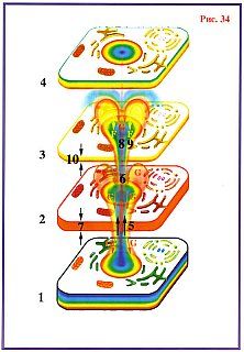 Николай Левашов - Сущность и Разум. Том 1