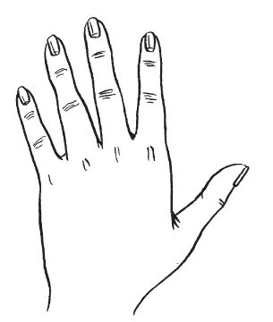 Антонина Соколова - Уроки хиромантии