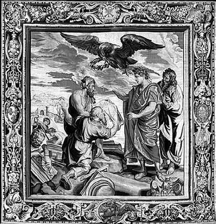 Сборник - Папоротники