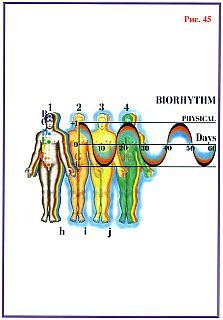 Николай Левашов - Сущность и Разум. Том 1