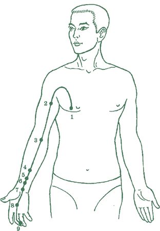 Дина Крупская - Лестница в небо, или Китайская медицина по-русски