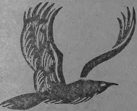 Жаклин Монсиньи - Флорис. "Красавица из Луизианы"