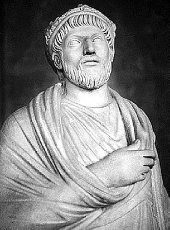 Сборник - Папоротники