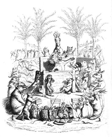 Коллектив авторов - Сцены частной и общественной жизни животных