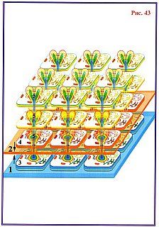 Николай Левашов - Сущность и Разум. Том 1