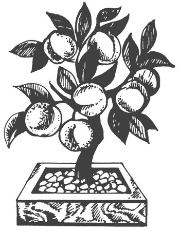 Ольга Романова - Символы для привлечения денег, удачи, счастья, богатства