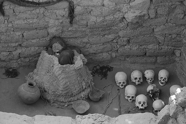 Андрей Скляров - Наска: гигантские рисунки на полях