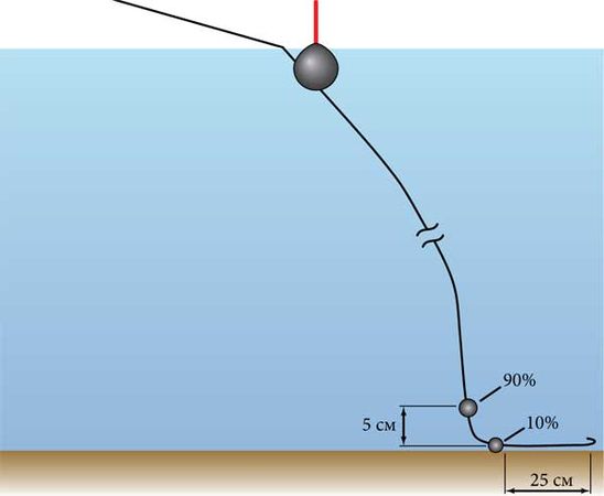 Константин Сторожев - Ловля карпа, леща, толстолобика, белого амура. Секреты и...