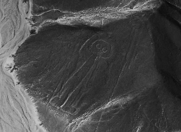 Андрей Скляров - Наска: гигантские рисунки на полях