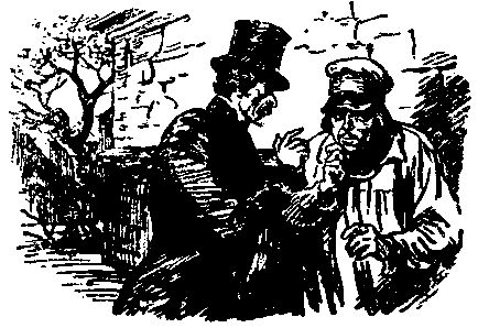 Жюль Габриэль Верн - Необыкновенные приключения экспедиции Барсака. Дунайский лоцман