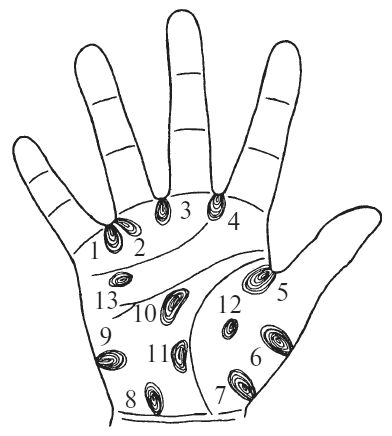 Антонина Соколова - Уроки хиромантии