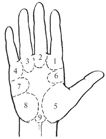 Антонина Соколова - Уроки хиромантии