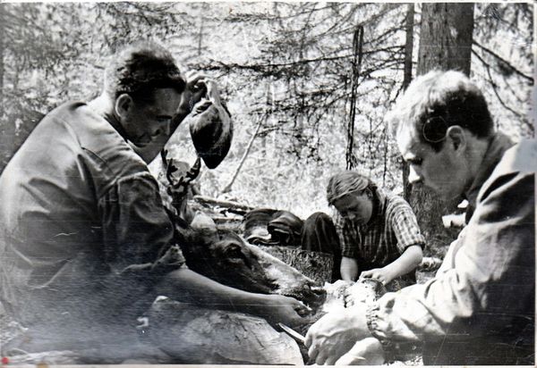 Наталья Притвиц - Саянский дневник