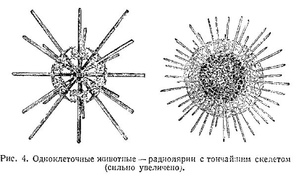 В. Богоров - Подводный мир