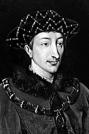 Сборник - Папоротники