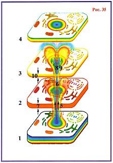 Николай Левашов - Сущность и Разум. Том 1